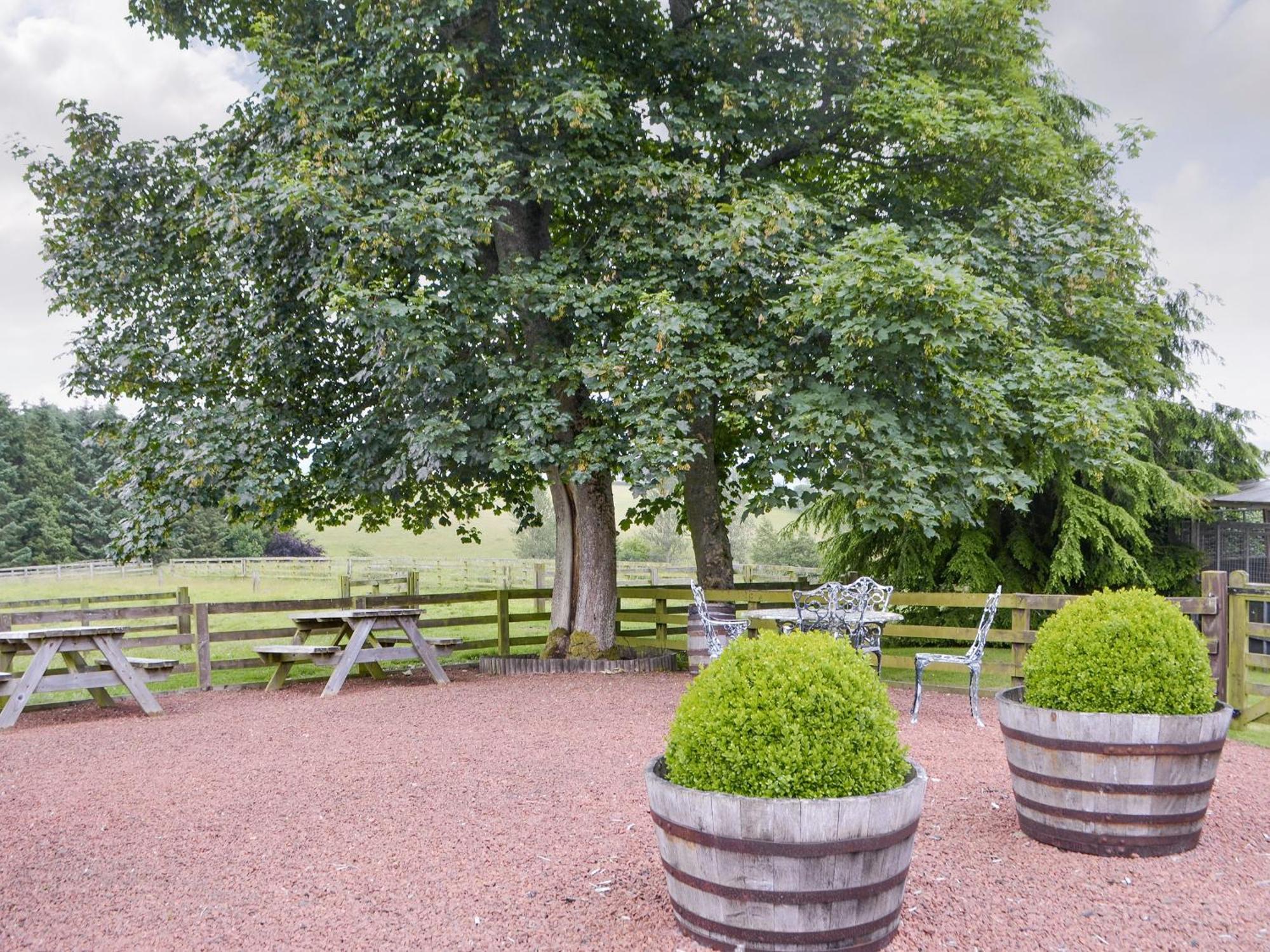 Grooms Cottage Elsdon Экстерьер фото
